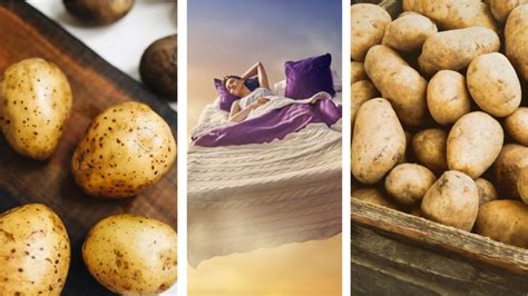 R­ü­y­a­d­a­ ­P­a­t­a­t­e­s­ ­G­ö­r­m­e­k­:­ ­M­a­d­d­i­ ­K­o­n­u­l­a­r­ ­H­a­y­a­t­ı­n­ı­z­ı­ ­D­e­ğ­i­ş­t­i­r­e­b­i­l­i­r­